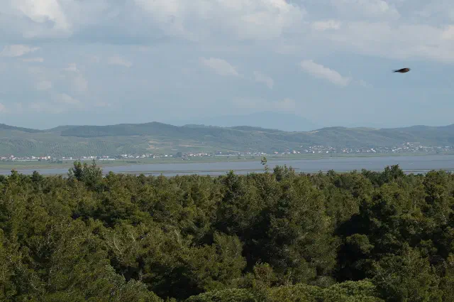 Nationaal park Divjakë-Karavasta in Fier