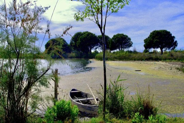 De Kune-Vain-lagune met pijnbomen en water bij Lezhë in Albanië De Kune-Vain-lagune met pijnbomen en water bij Lezhë in Albanië