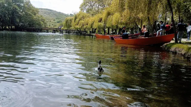 Het Drilonpark met de heldere bronnen bij Pogradec